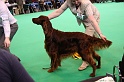 Crufts2011 609